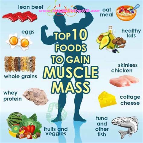 10 Healthy Foods for Maximum Muscle Gain